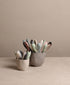 https://www.tinkalu.com/media/d3/ce/53/1730201312/Loffel klein und gro Becher.jpg